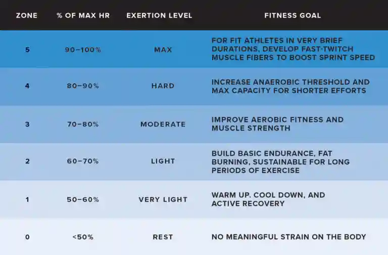 heart rate zone training chart