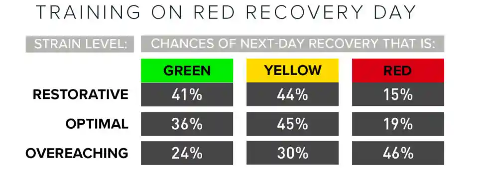 strain on red recovery day