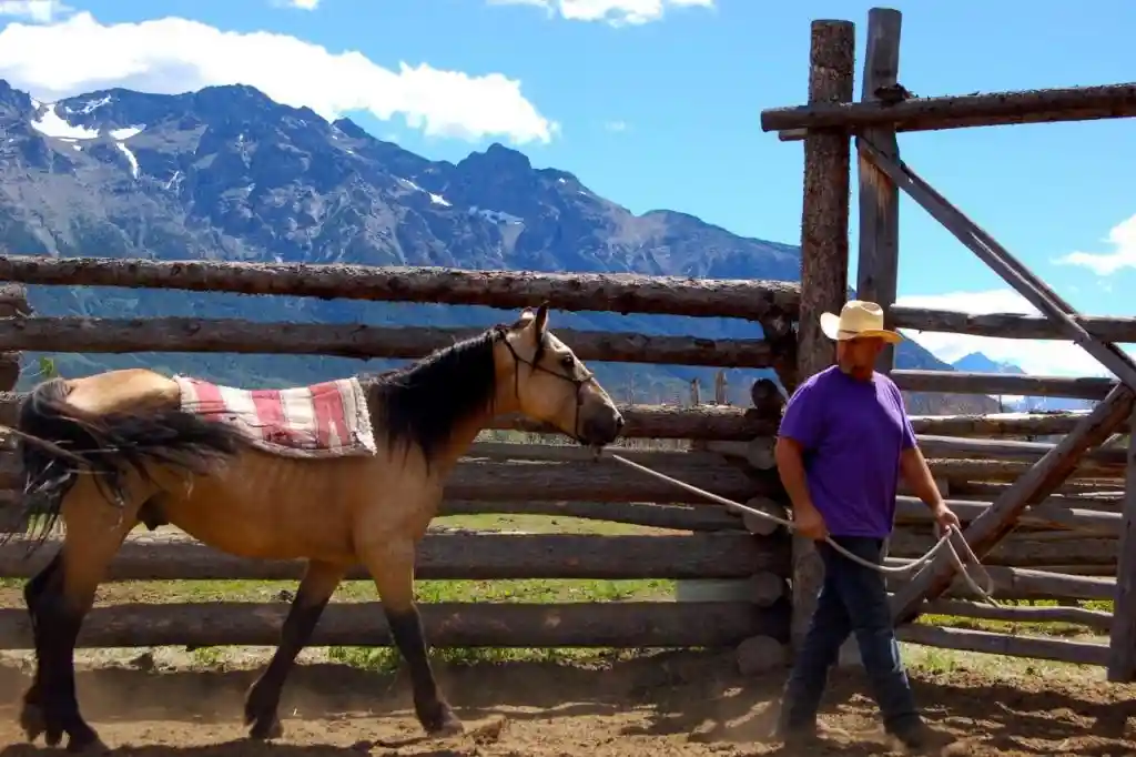 lares-with-horse