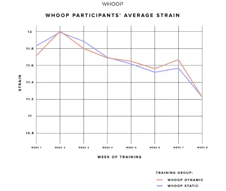The average strain of Project PR participants decreased over time.