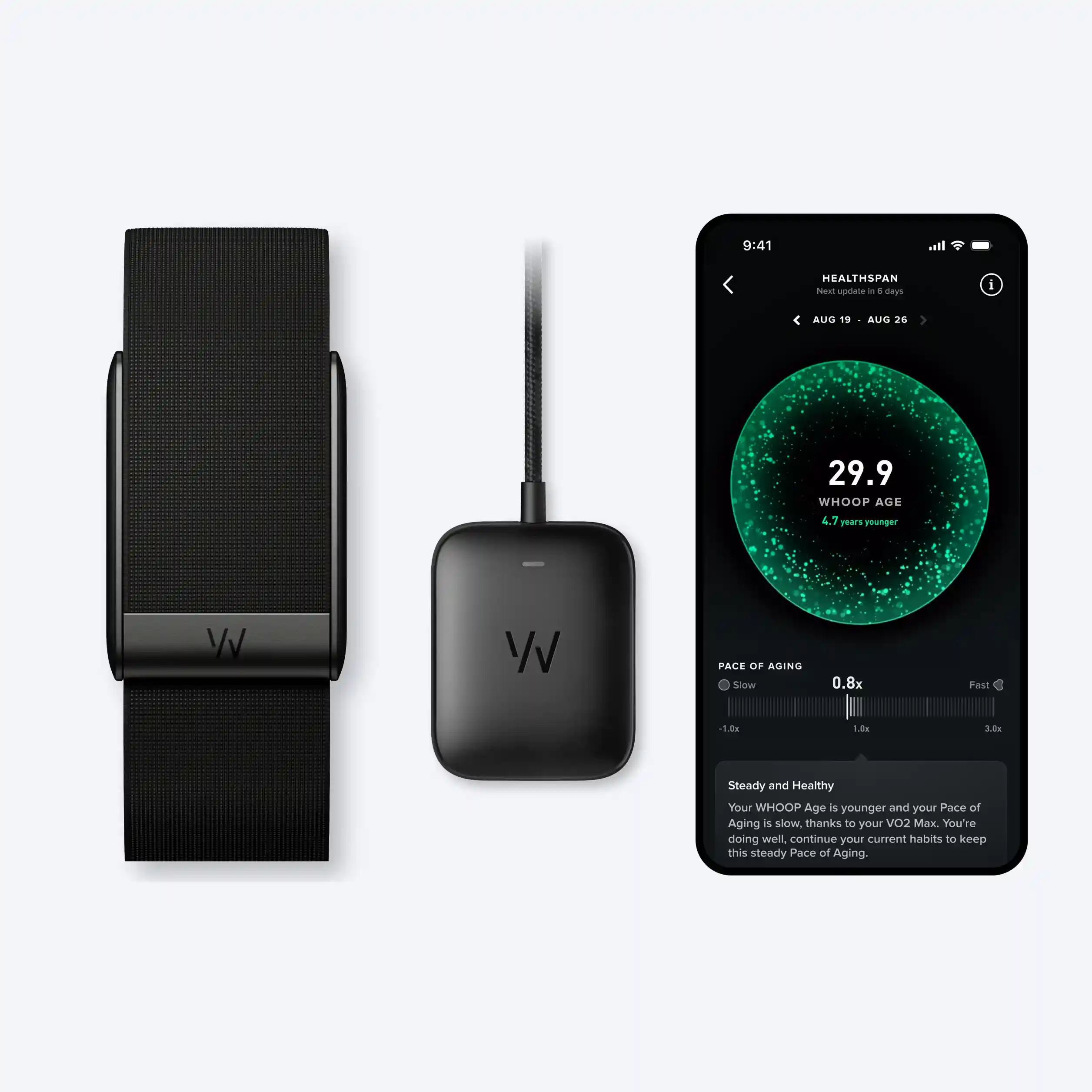 WHOOP 5.0 Strap, Basic Charger, and the WHOOP App. 